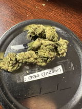 Anthony G. review photo