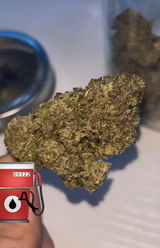 Aidan review photo