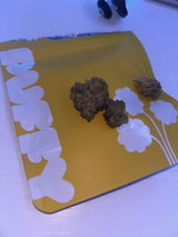 Aidan review photo