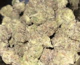 That o.b.g. review photo