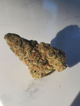 Jacob H. review photo