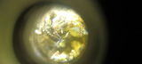 MrLB review photo