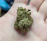 BRANDON H. review photo