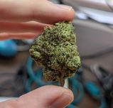 BRANDON H. review photo