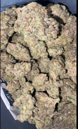 Mason review photo