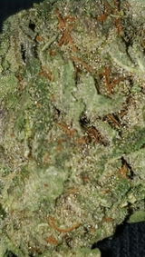 That o.b.g. review photo