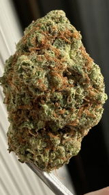Tom H. review photo