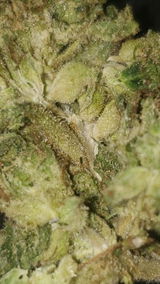Chainsaw R. review photo