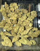 That o.b.g. review photo