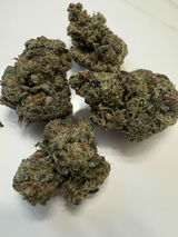 Rv review photo