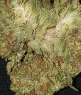 Chainsaw R. review photo