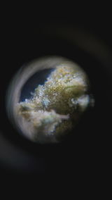 MrLB review photo