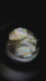 MrLB review photo