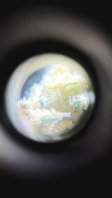 MrLB review photo