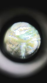 MrLB review photo
