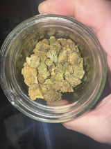 Anon review photo