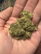 granny G. review photo