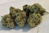 HFEBarb review photo