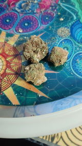 J review photo