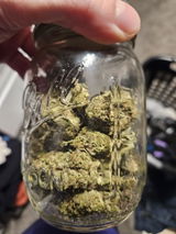 DT review photo