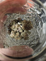 DT review photo