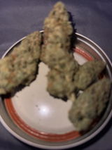 Anonymous review photo
