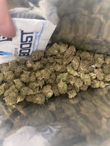 Aidan A. review photo