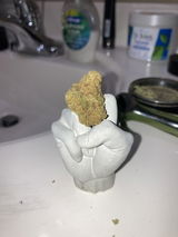 Dogsusej review photo