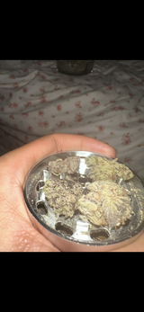 Anonymous review photo