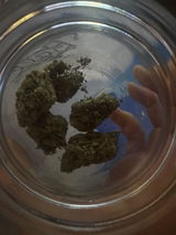 Anon review photo