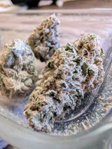 Chronic B. review photo