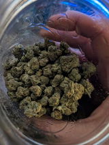 Chronic B. review photo