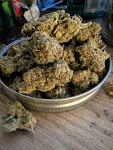 Chronic B. review photo