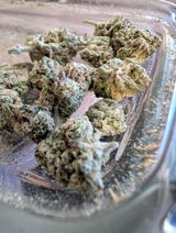 Chronic B. review photo