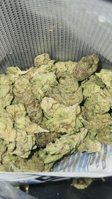 That o.b.g. review photo