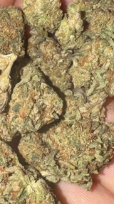 Mason review photo