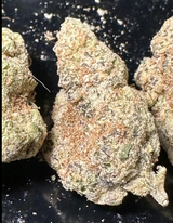 Mason review photo