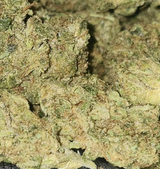 Mason review photo