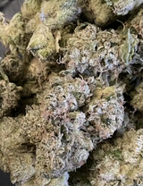 Mason review photo