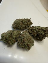 Rv review photo