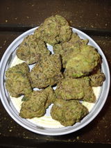 Holly S. review photo