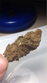 D review photo