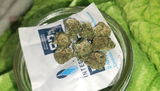 Kimberly G. review photo