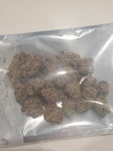 Jacob H. review photo