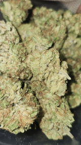 That o.b.g. review photo