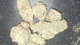 That o.b.g. review photo