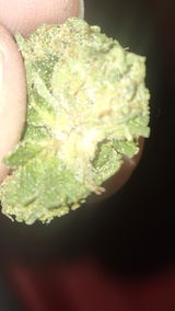 That o.b.g. review photo