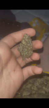 Kaden H. review photo