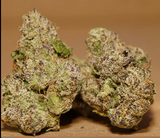 Anthony G. review photo