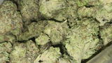 That o.b.g. review photo